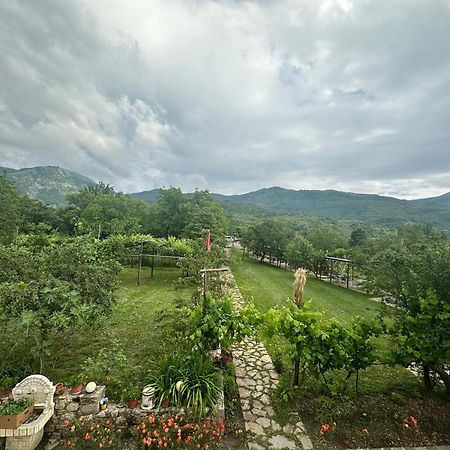 Vila Disha تيرانا المظهر الخارجي الصورة