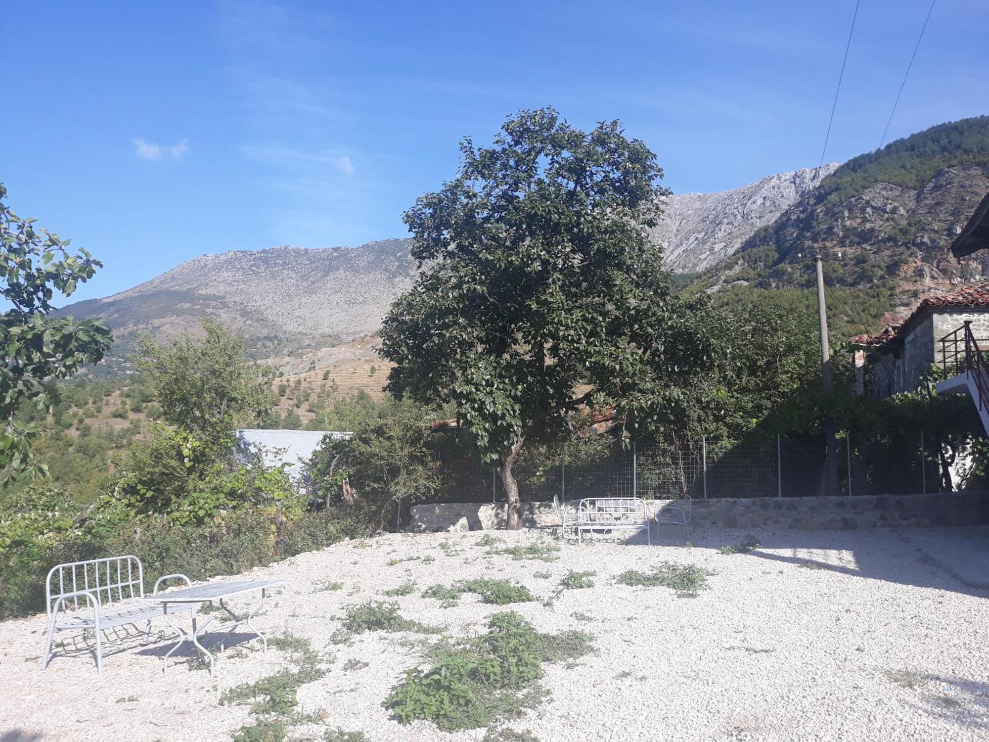 Vila Disha تيرانا الغرفة الصورة
