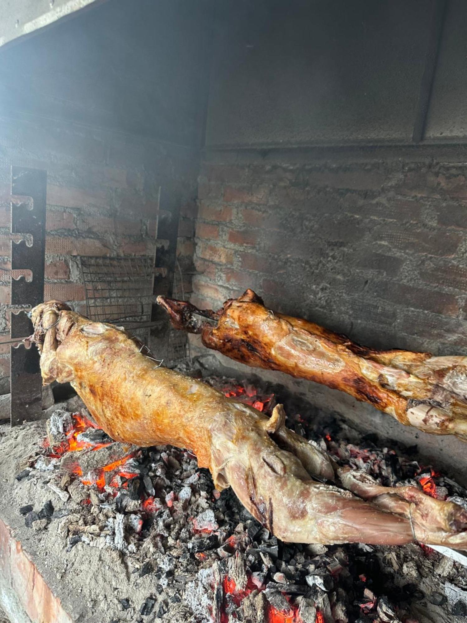 Vila Disha تيرانا المظهر الخارجي الصورة