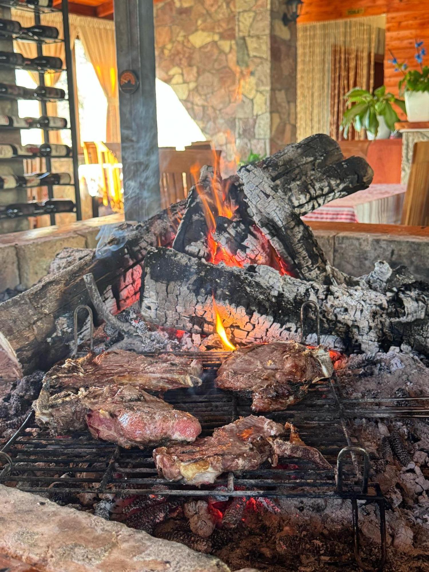 Vila Disha تيرانا المظهر الخارجي الصورة