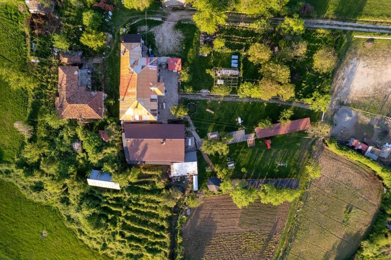 Vila Disha تيرانا المظهر الخارجي الصورة